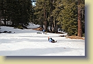 Lake-Tahoe-Feb2013 (96) * 5184 x 3456 * (6.41MB)